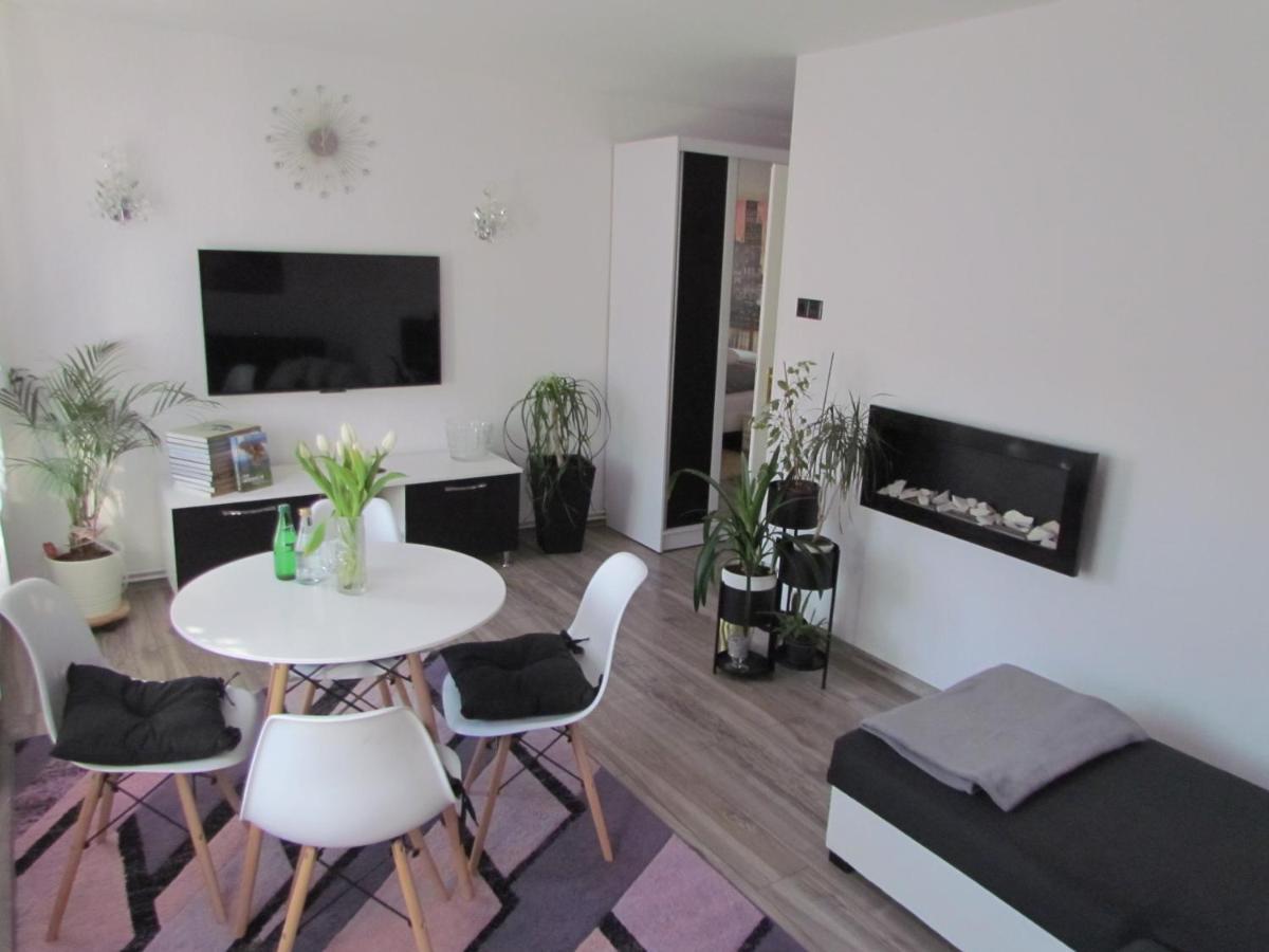 Apartament Ella Поляниця-Здруй Екстер'єр фото